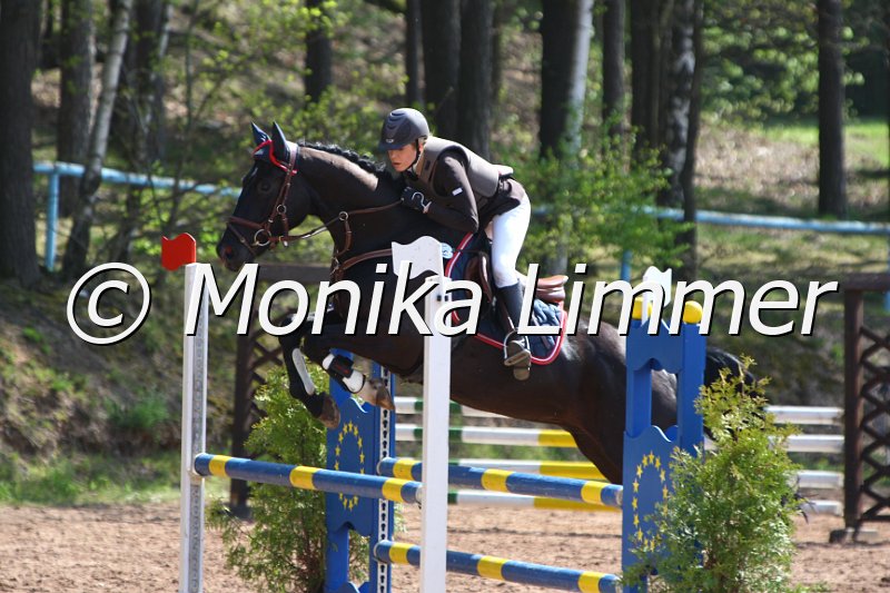 004M1701_Lennox_Springpferde A xx.JPG